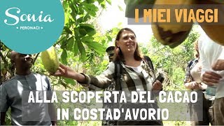 Il mio viaggio in Costa dAvorio alla scoperta del cacao  Parte 1 [upl. by Aiz]