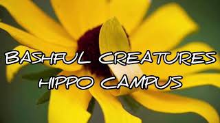 Bashful Creatures lyrics Hippo Campus [upl. by Yeorgi]