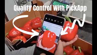 PickApps Quality Control System [upl. by Ahsemaj]