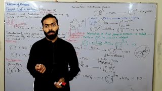 Friedel Crafts Reactions  Reactions of Benzene  ch9  12th class chemistry [upl. by Azmah205]