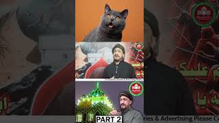 Billi jinnat deykhati hy PART 2  Cat  Pet [upl. by Auqkinahs]