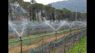 Allevamento Lumache  Lezione di Elicicoltura impianto di irrigazione [upl. by Olney3]