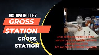 Gross StationGrossingHistopathology Procedure [upl. by Nashner]