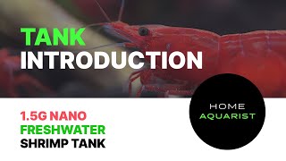 Tank Introduction — 15G Nano Freshwater Shrimp Tank [upl. by Arahd859]