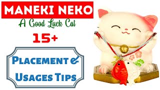 Chinese Lucky Cat Maneki Neko  Top 15 Lucky Money Cat Directions Placement Tips Beckoning Cat [upl. by Eimmac]