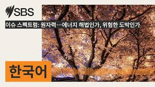 이슈 스펙트럼 원자력…에너지 해법인가 위험한 도박인가  SBS Korean  SBS 한국어 프로그램 [upl. by Suoirrad]