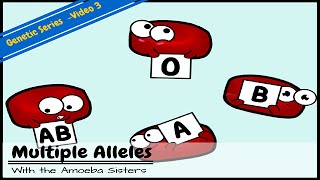 Multiple Alleles ABO Blood Types and Punnett Squares [upl. by Obara]