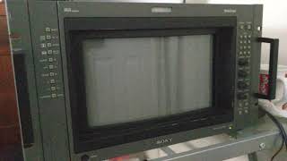 CRT Degaussing Noise [upl. by Cirded]