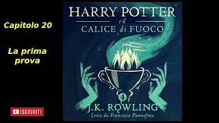 Harry Potter e il Calice di fuoco Audiolibro Italiano letto da Francesco Pannofino Capitolo 20 [upl. by Haimehen518]