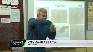 Tarımsal Eğitim  Uygulamalı Aşı Eğitimi  Meyve Ağaçlarında Aşı Çeşitleri ve Yapılışı [upl. by Tench]