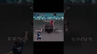 Table Tennis best point paris2024 alexislebrun tabletennis pingpong worldtabletennis wtt ittf [upl. by Eejan]