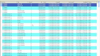 Directory Report  Finding Duplicate Files [upl. by Fergus]