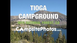 Tioga Lake Campground Inyo National Forest California Campsite Photos [upl. by Namdor668]