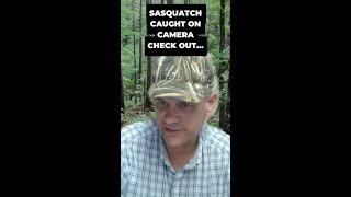 Capturing Bigfoot on Camera Proof of a Mysterious Watcher in the Woods  Untold Radio AM shorts EP [upl. by Ruthven]