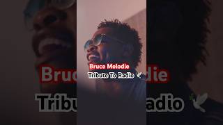 BruceMelodie Tribute to RADIOandWEASELGoodlyfe [upl. by Psyche]