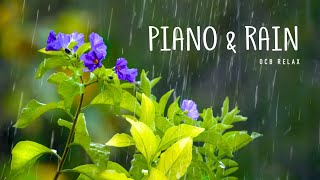 Rain Sounds amp Relaxing Music 247  Piano Music Sleep Study Yoga Stress Relief Meditation [upl. by Culberson336]