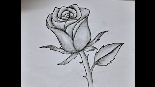 Very easy rose drawing method step by step Easy pencil drawings for beginners [upl. by Suzan]