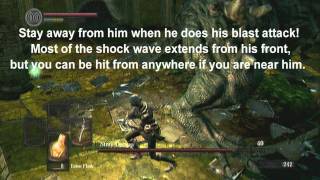 Dark Souls  Titanite Slabs FAST 12 min per [upl. by Aneger]