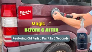 Easily Restore Faded Paintwork In Seconds  Car Valeting Guide [upl. by Urd645]