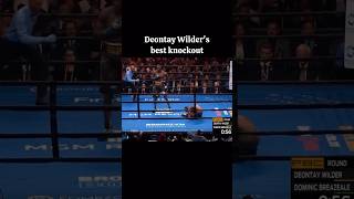 Deontay Wilders best knockout😤 gym boxing coach sports fight [upl. by Hengel]