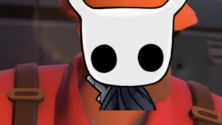 When you equip Glowing Womb Weaversong and Grimmchild in Hollow Knight [upl. by Aizirtap806]