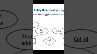 ER Diagram dbms erdiagram bca puc [upl. by Anerda184]