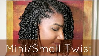 Natural Hair  MiniSmall Twist Tutorial [upl. by Thorpe]