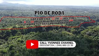 LOT FOR SALE 12 TO 18 HECTARES PIO DE RODA DAINE INDANG CAVITE [upl. by Sinnard]