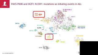 The many genomic roads to acute lymphoblastic leukemia [upl. by Bryan]