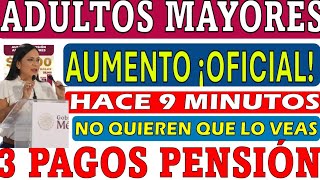 💥3 PAGOS🔔PENSION de Adultos Mayores ♨️SUPERAUMENTO 2025 CONFIRMA CLAUDIA💵MIRA ANTES QUE LO BORREN📢 [upl. by Ithnan]