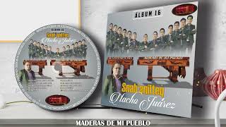 ÁLBUM 16 COMPLETO  MADERAS DE MI PUEBLOMix [upl. by Dickerson]