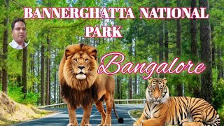 Bannerghatta National Park Safari 2024  Bannerghatta Zoo  Bannerghatta Safari  Butterfly Park [upl. by Lasley]