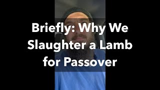 Briefly Why We Slaughter a Lamb for Passover [upl. by Enaed666]