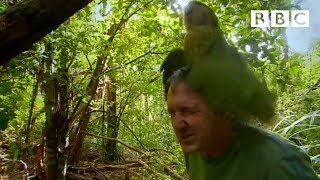 Shagged by a rare parrot  Last Chance To See  BBC [upl. by Airakaz748]