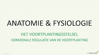 Hormonale regulatie van de voortplanting [upl. by Nnaycart]