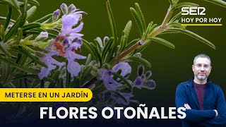 🌼 Flores de otoño  Meterse en un jardín con Eduardo Barba [upl. by Senoj532]