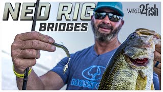 Ned Rig Bass on Bridges with Gerald Swindle [upl. by Marko]