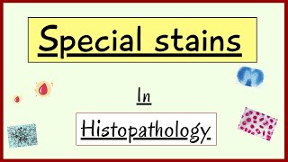 Special stains in Histopathology  Pathology  MHSRB  Hindi  By Madhukar Sir [upl. by Sualk228]