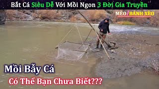 Chế Tạo Bẫy Bắt Cá Siêu Dễ Cùng Mồi Ngon Gia Truyền Của Anh Trai IQ Vô Cực  MÈO BÁNH XÈO [upl. by Aeuhsoj]