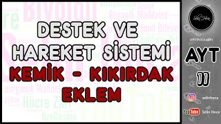 13 Destek ve Hareket Sistemi Kemik  Kıkırdak  Eklem [upl. by Ahsrat899]