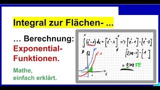 Integralrechnung Flächenberechnung bei Exponentialfunktionen anwenden [upl. by Keon]