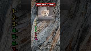 Can you name the baby animalanimal animals quiz trivia nature [upl. by Esinert]