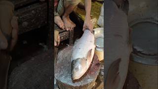 Fish Cutting Skills  Incredible Huge Rohu Fish Cutting Live In Bangladesh  shorts fish food [upl. by Esten]