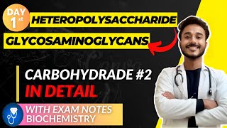 heteropolysaccharide biochemistry  glycosaminoglycans biochemistry mucopolysaccharide biochemistry [upl. by Ecydnak]