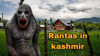 rantas in kashmir 5 [upl. by Fabriane]