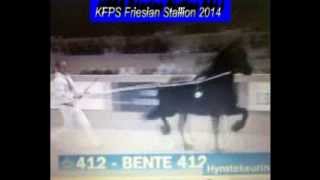 KFPS Friesian Stallion BENTE 412 Hengstenkeuring 2014 [upl. by Althea686]