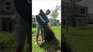 Master Your Dethatcher Expert Lawn Care Tips [upl. by Eberta767]