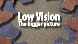 Low vision the bigger picture [upl. by Levy689]