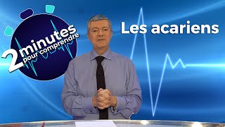 Les acariens  2 minutes pour comprendre [upl. by Teirtza100]