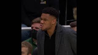 Giannis Reaction after this Thanasis Antetokounmpo Dunk Shorts [upl. by Lilla]